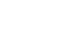 bizzlarde.com